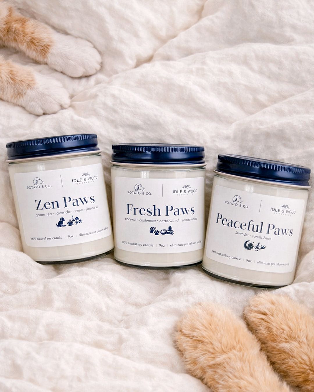Pet Friendly Candles