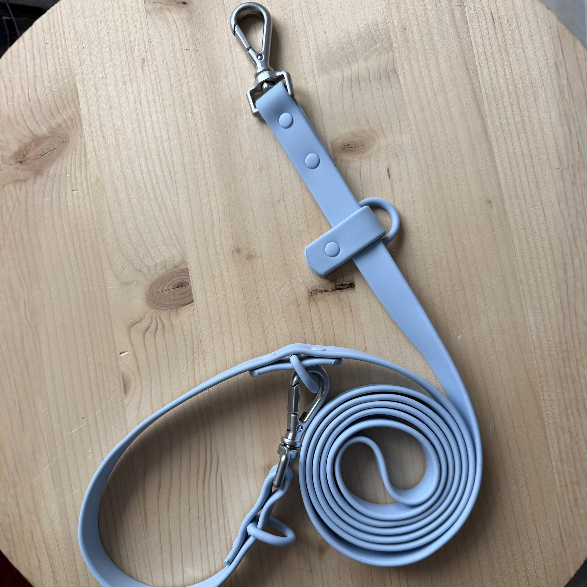 Leashes - First Dibs