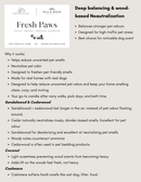 Candles - First Dibs