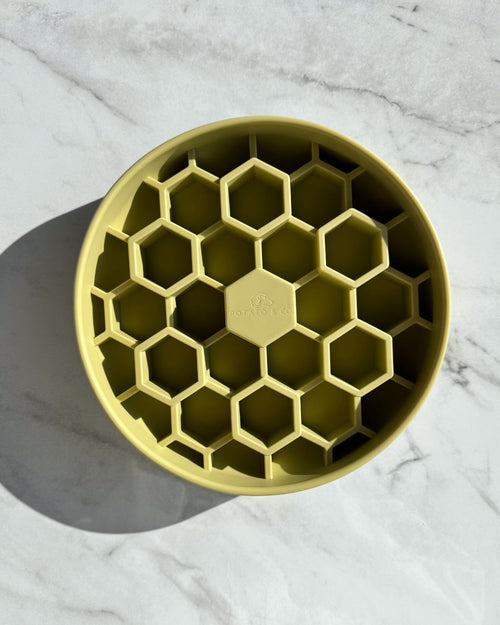 XL Hive Slow Feeder - Aloe