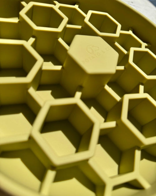 XL Hive Slow Feeder - Aloe