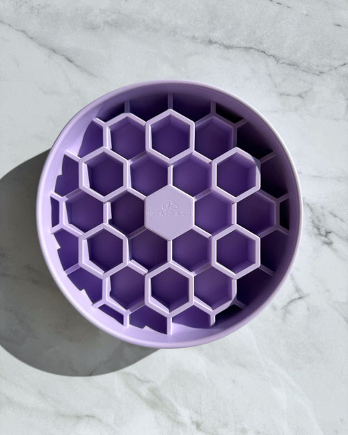 XL Hive Slow Feeder - Lavender