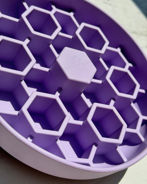 XL Hive Slow Feeder - Lavender