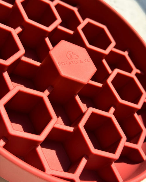 XL Hive Slow Feeder - Pomegranate