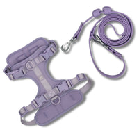 Harness Walkies Set - Lavender