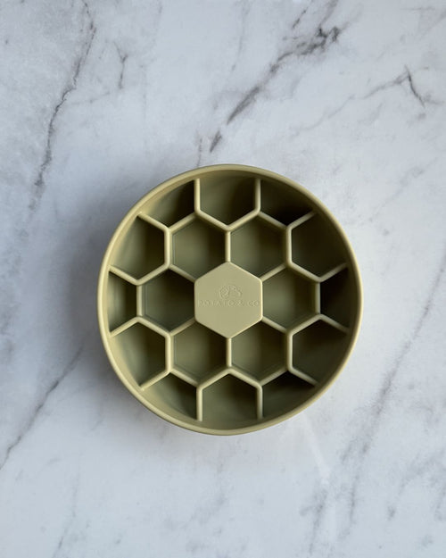 Mini Hive Slow Feeder - Aloe