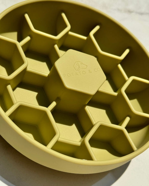 Mini Hive Slow Feeder - Aloe
