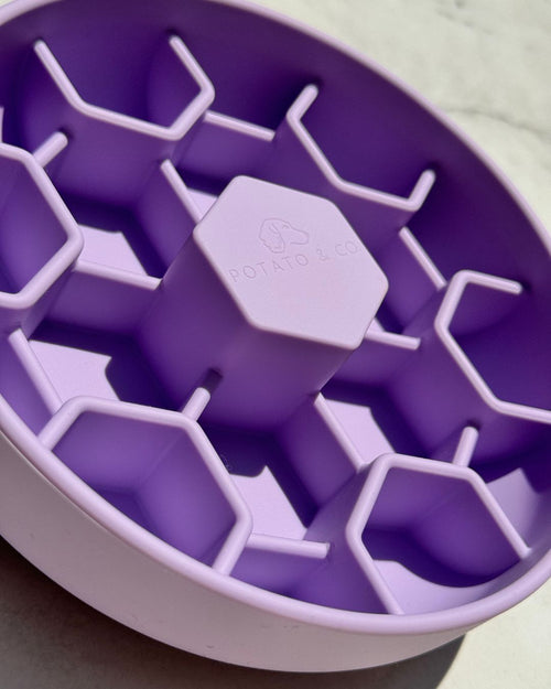 Mini Hive Slow Feeder - Lavender
