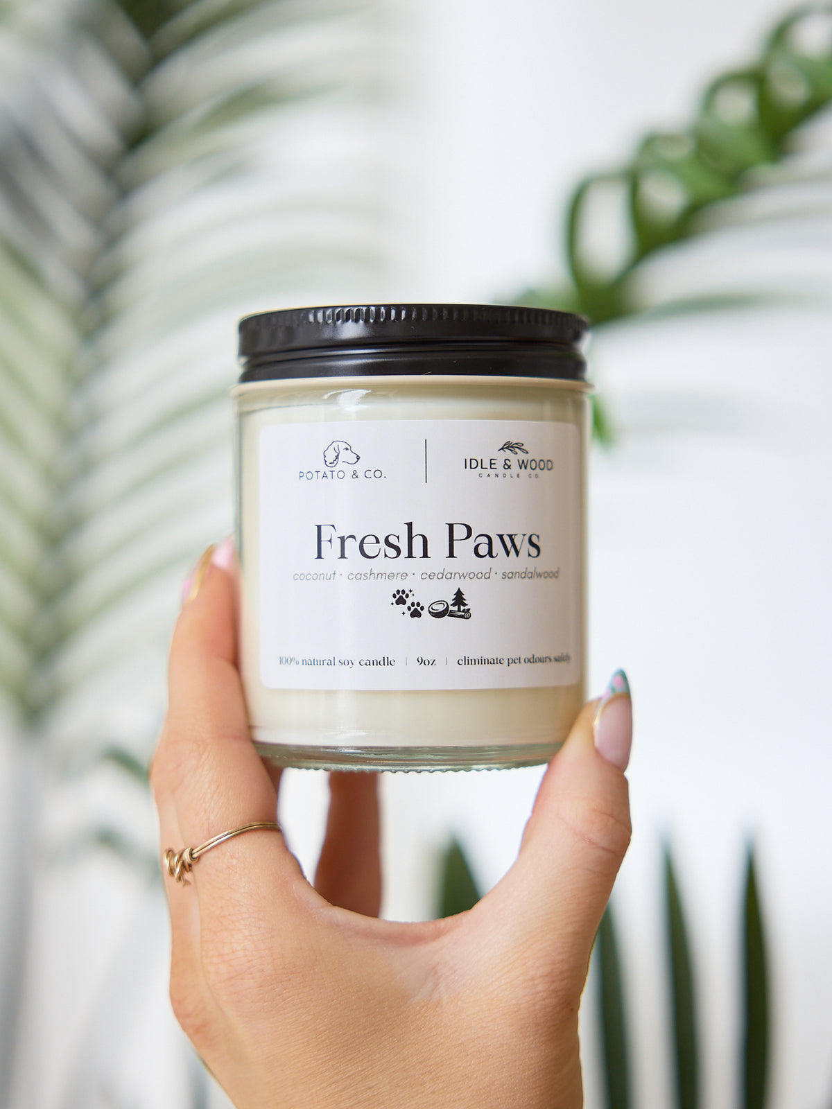 Fresh Paws Candle