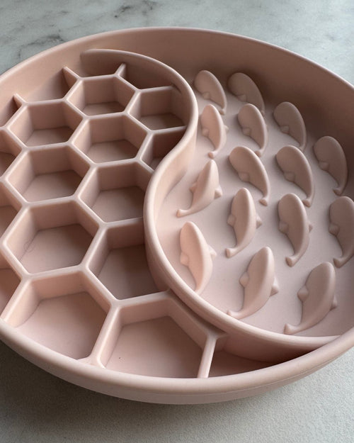 Buzzed Whale Slow Feeder - Blossom