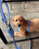 The Flip Harness - Periwinkle