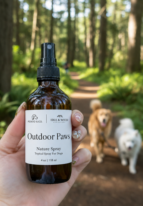 Outdoor Paws Adventure Lifestyle Spray for Dogs
